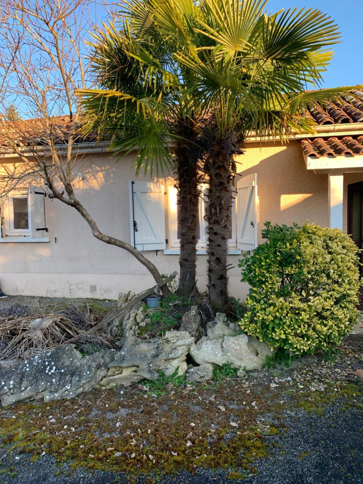 Petite Maison Dans Un Village Du Gers Sabazan Kültér fotó